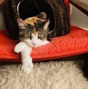 Meet your Posher, Vanessa